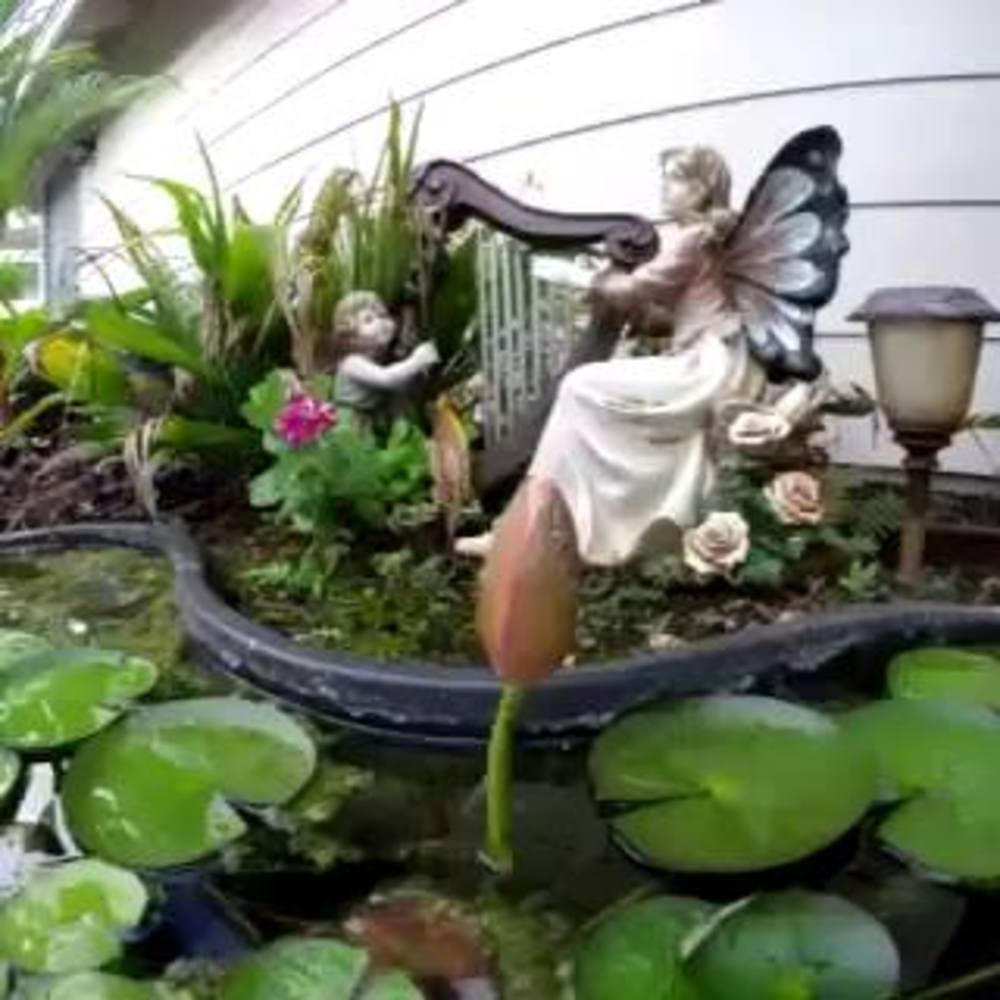 Meet your Posher, Sherry